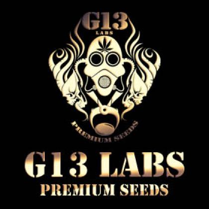 G13 labs
Premium seeds