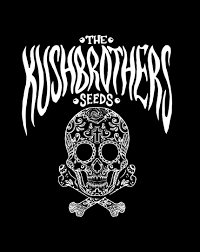 The kushbrothers seeds