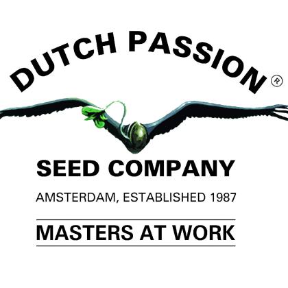 Dutch passion
Seeds company