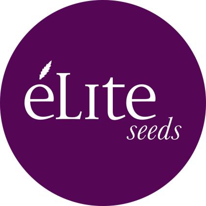 élite seeds