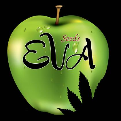 EVA seeds
