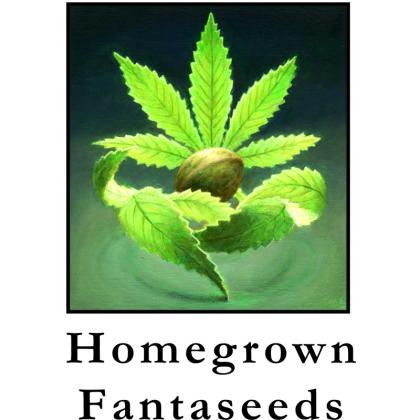 Homegrown Fantaseeds