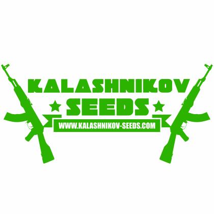 Kalashnikov seeds