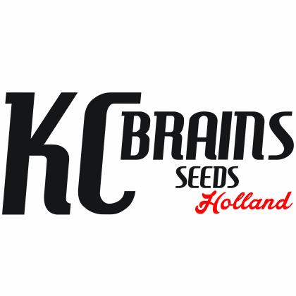 KC brains seeds