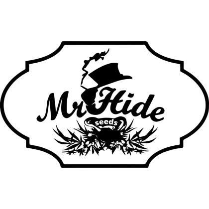 Mr Hide