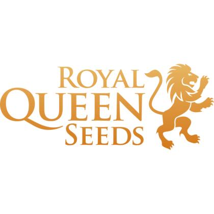 Royal queen seeds