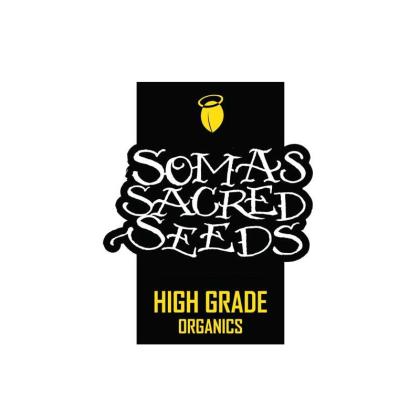 Somas sacred seeds