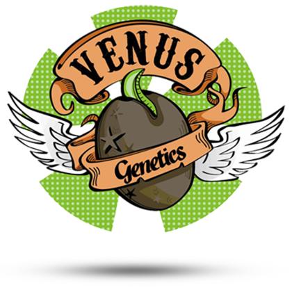 Venus genetics