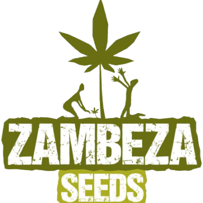 Zambeza seeds