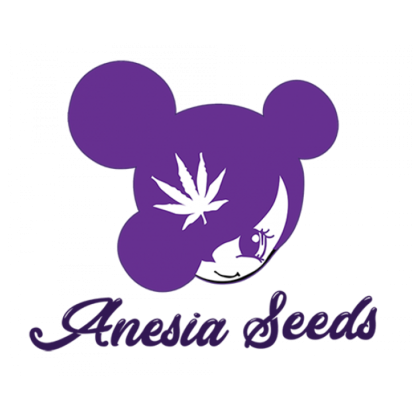 Anesia seeds