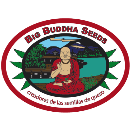 Big Buddha seeds