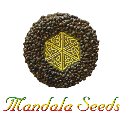 Mandala seeds