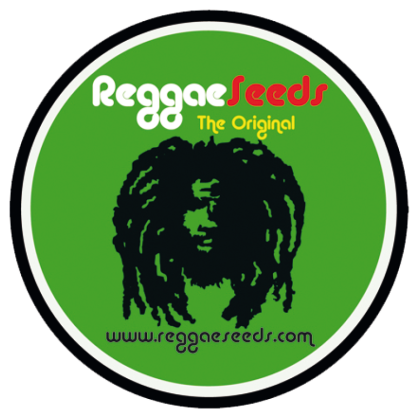 Reggae seeds