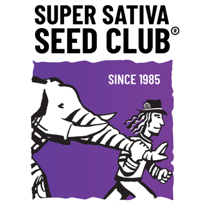 Super sativa seed club