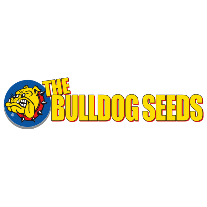 The bulldog seeds