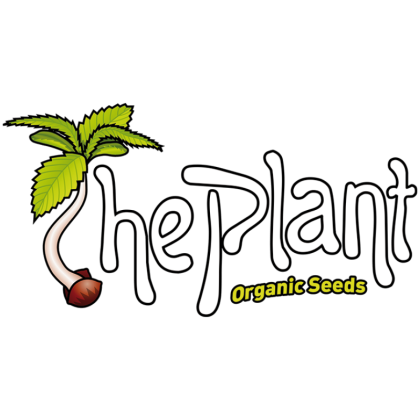 The plant organic seeds
