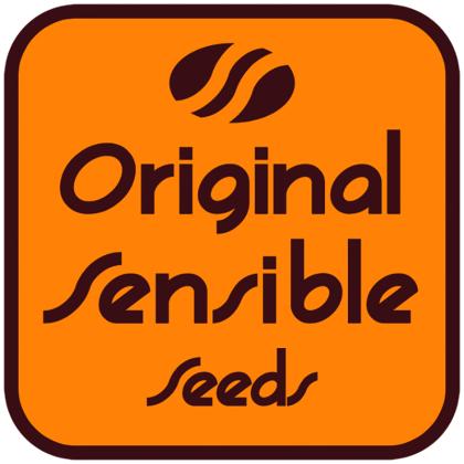 Origina Sensible seeds