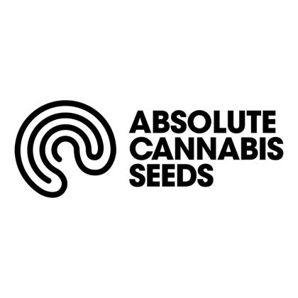 Absolute cannabis seeds